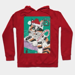 Christmas Calico cat kitten art Hoodie